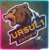 Player ursul2 avatar