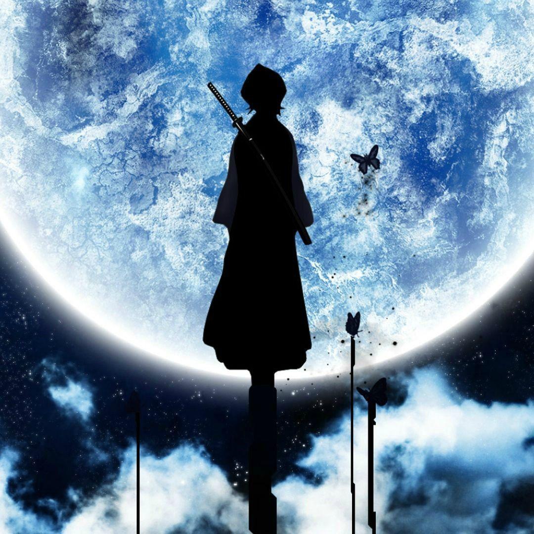 dar1shka avatar