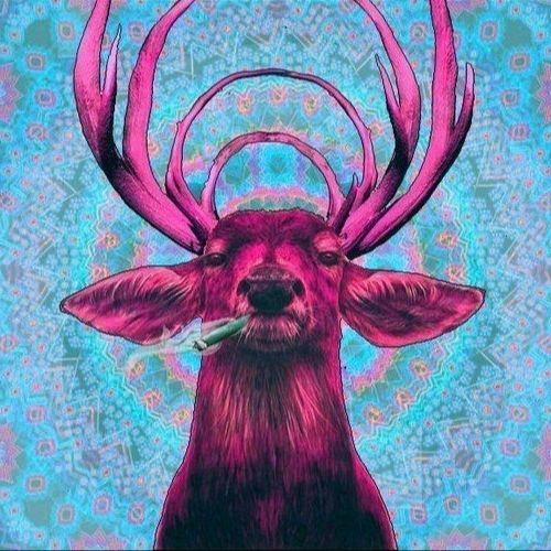 qoq2k avatar