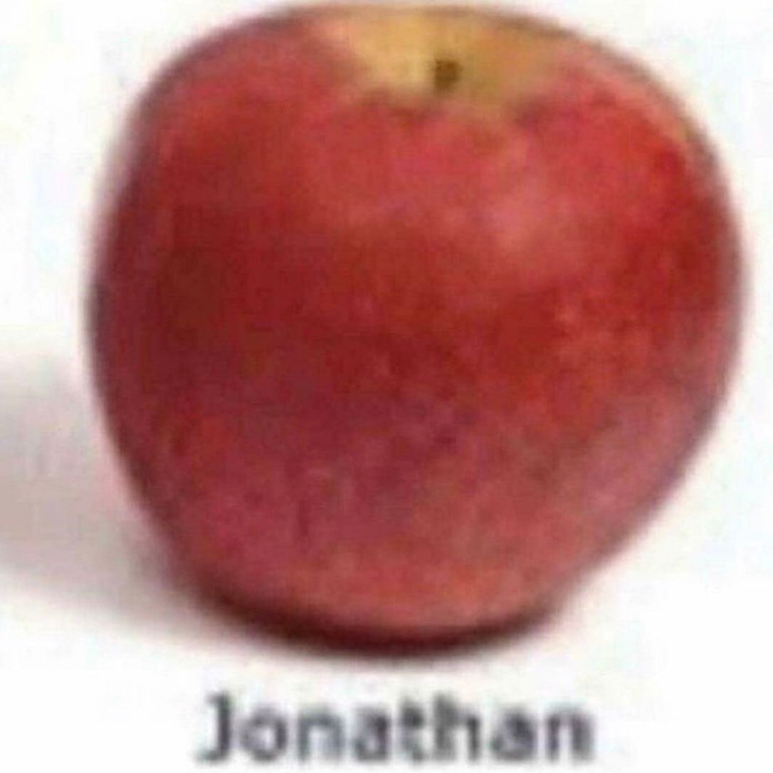 boryskarton