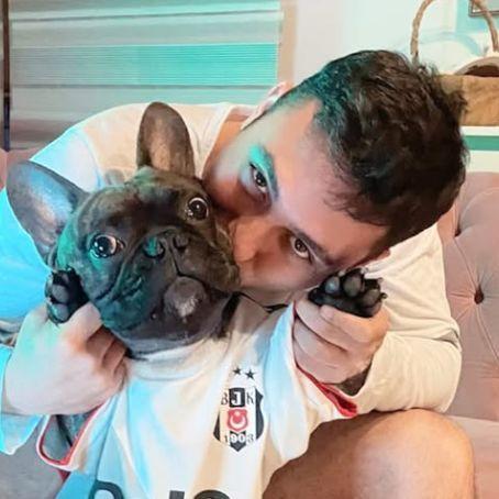 OmFoZi avatar