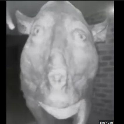 AfkOffBan