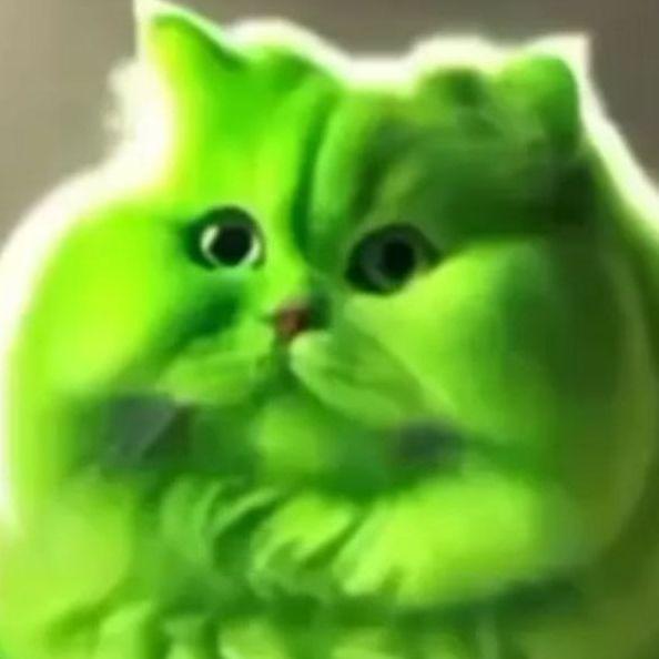 Podkradul228 avatar
