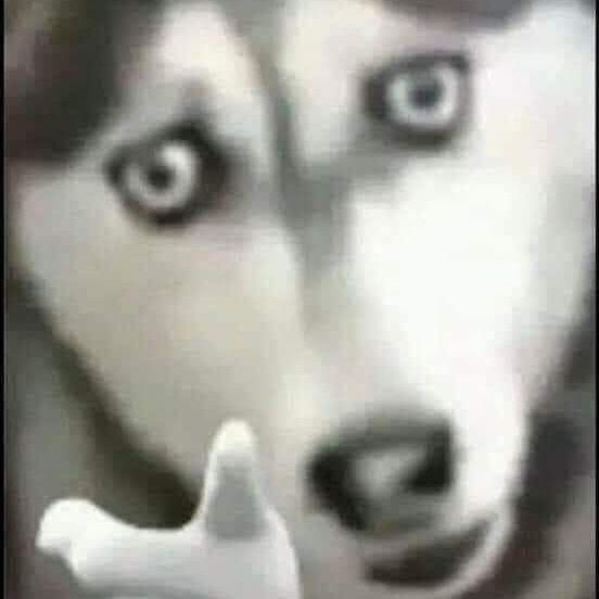 Nayumiii
