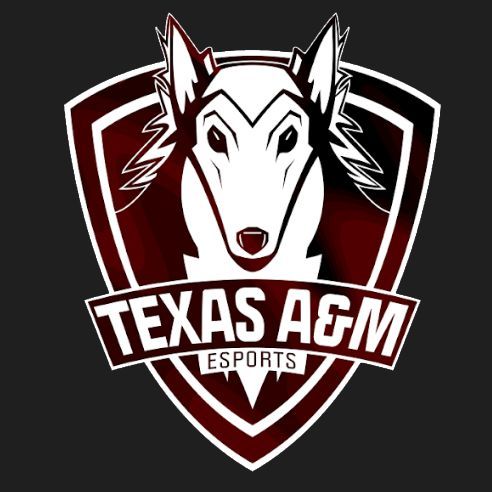 TAMU Black