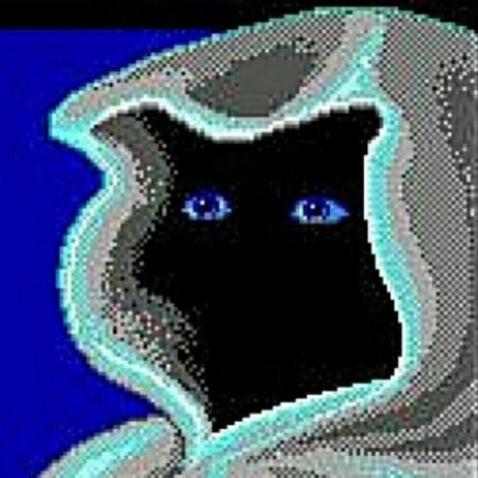 rienkiii avatar