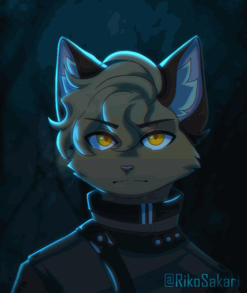 -sakari