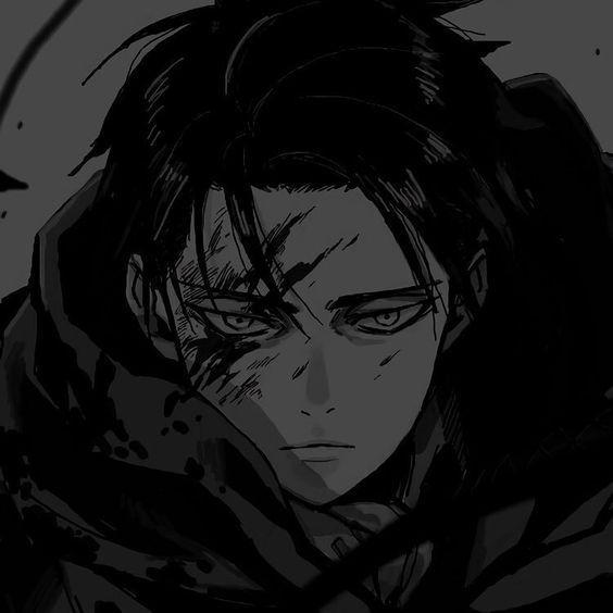 Levi2k-