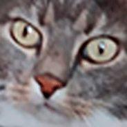 Muijf