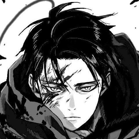 Mon4rk_ avatar