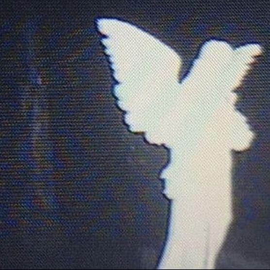 Sjebs avatar