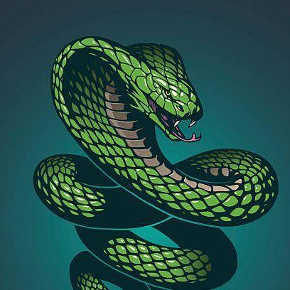 Snake_008