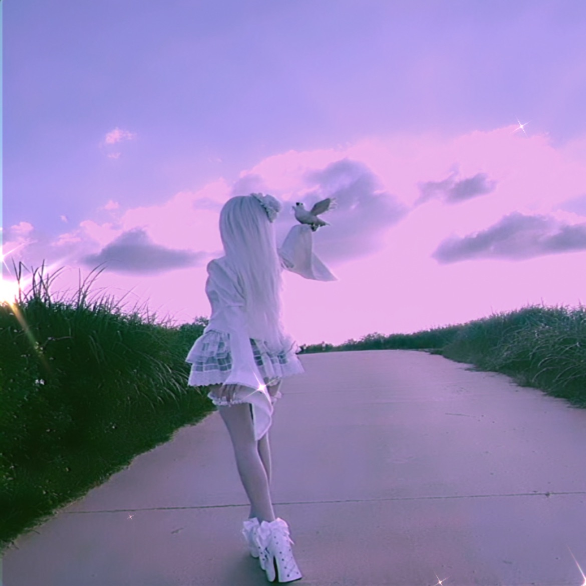 t_r_i_e_d
