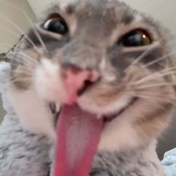 kaiefe