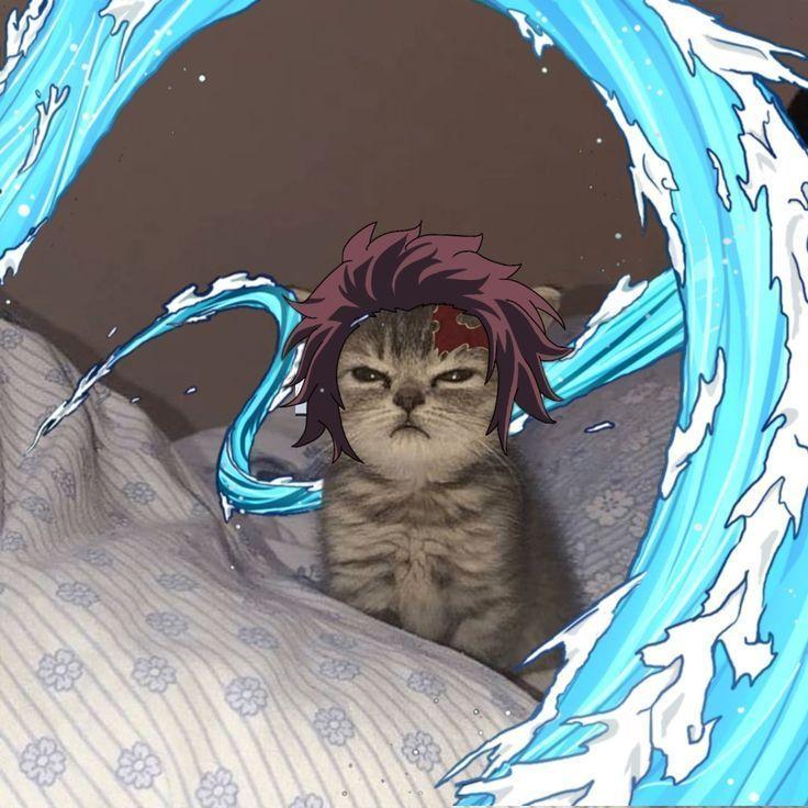 TMoverlord avatar