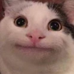 Raphtalea avatar