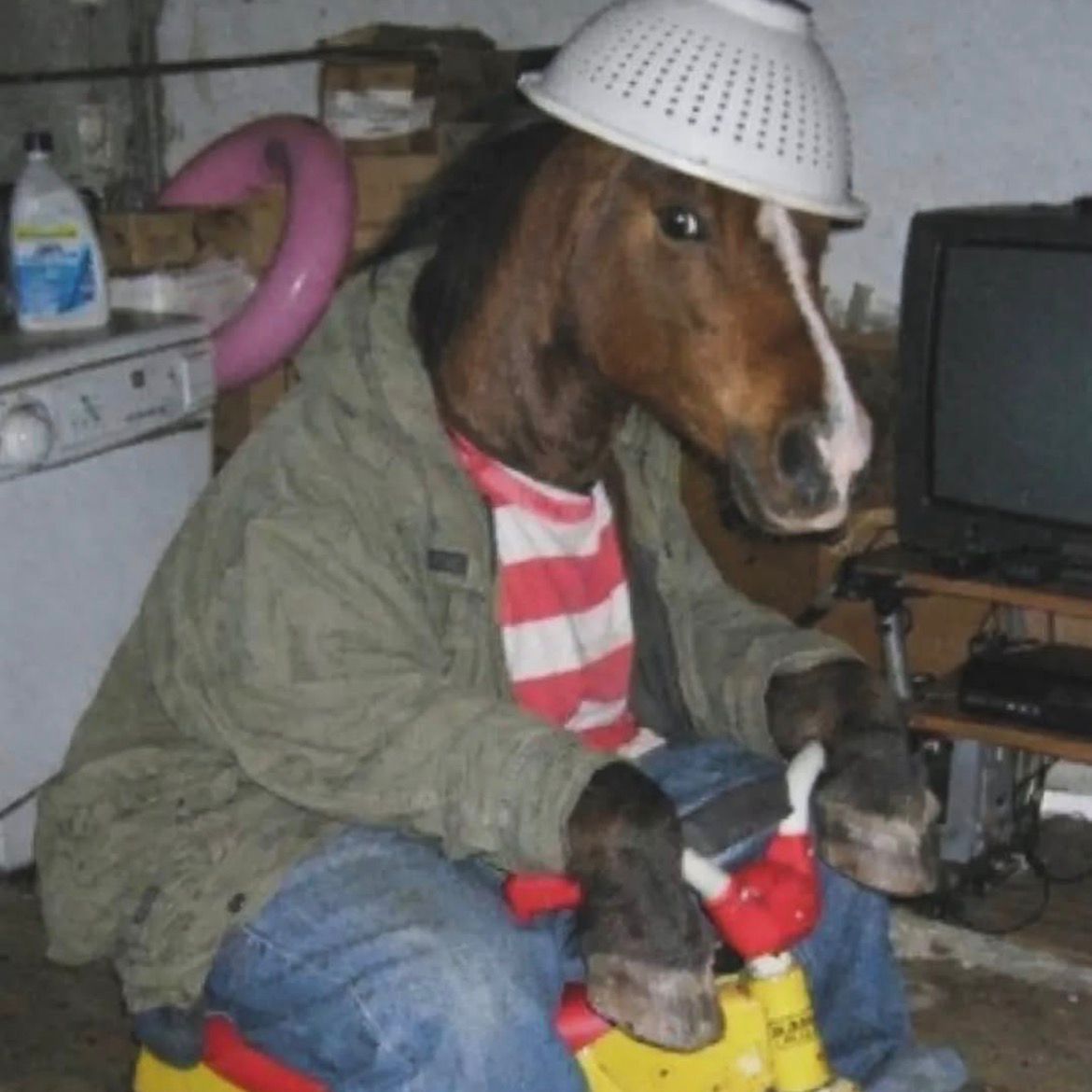 Genitalpompa