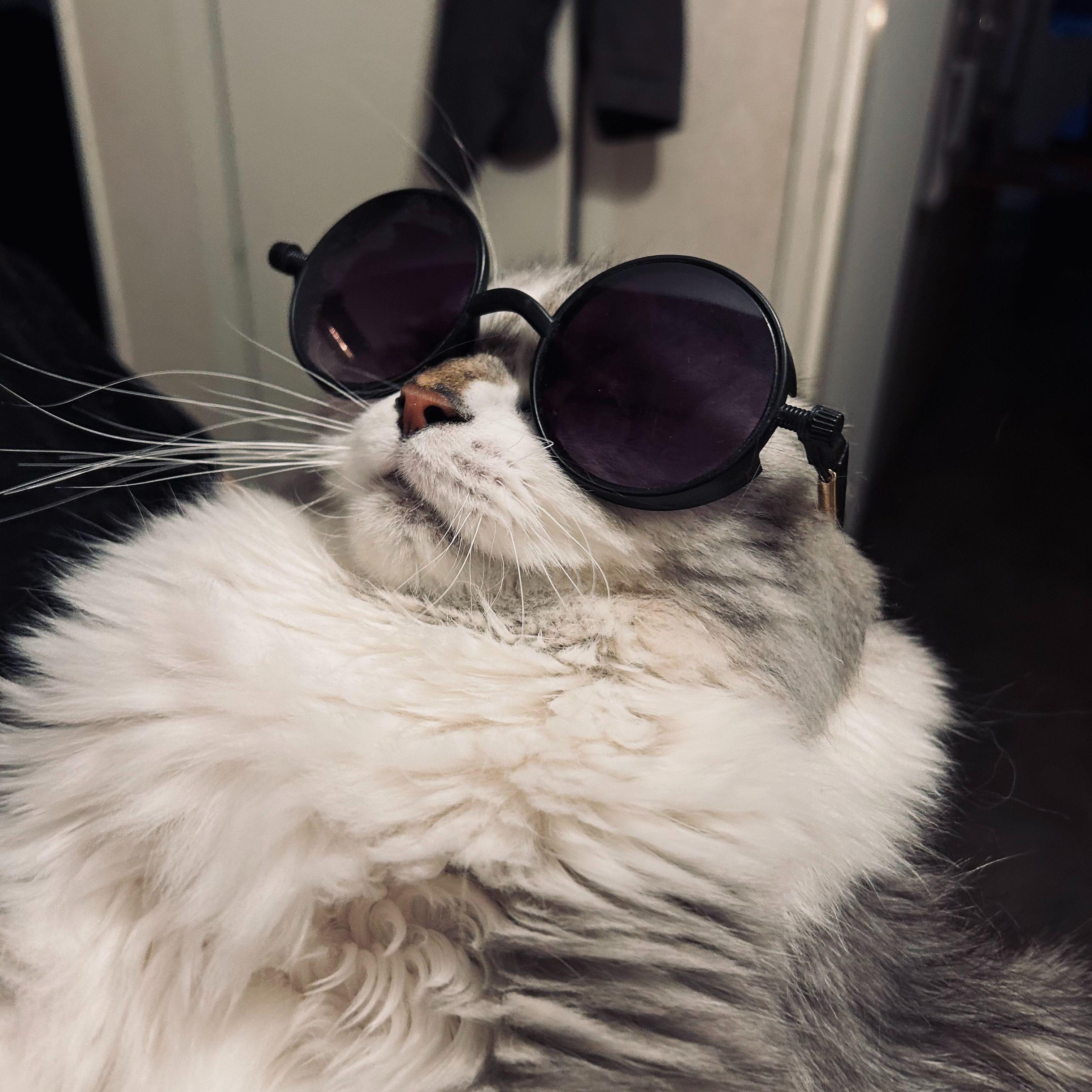BONJA avatar