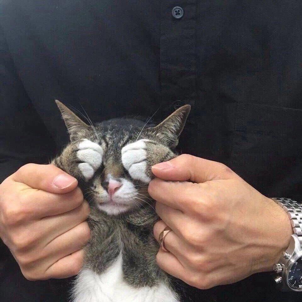 Neekeeeeta