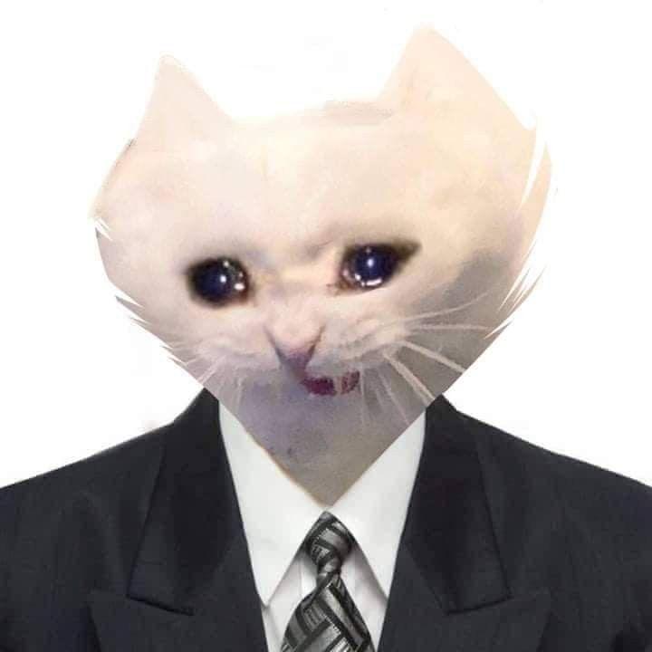 BrainWubber avatar