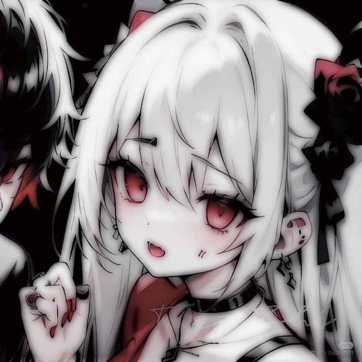 lusek1007 avatar