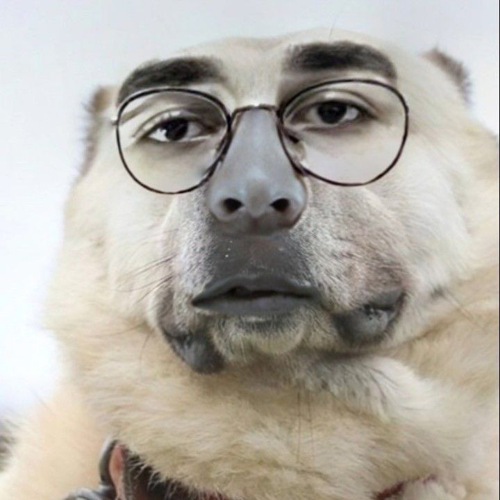 SpyksBABA