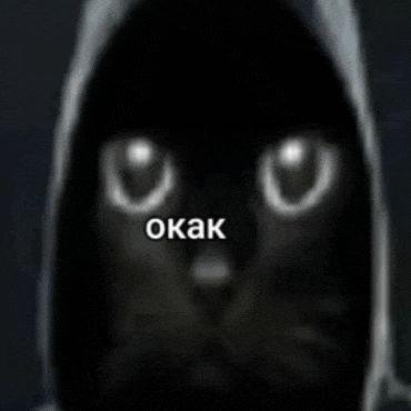 Exitvvs avatar
