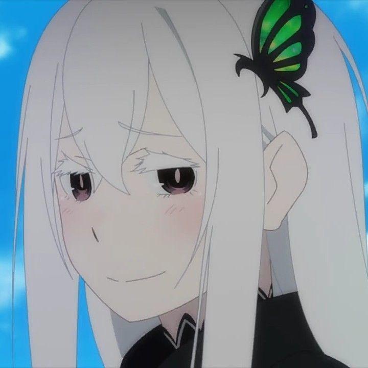 qparet avatar