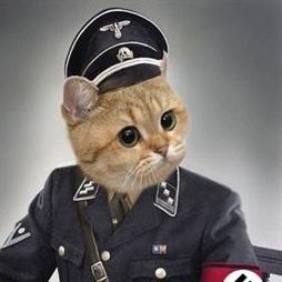 Peppu_Pedro