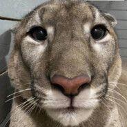 tokinadaqq avatar