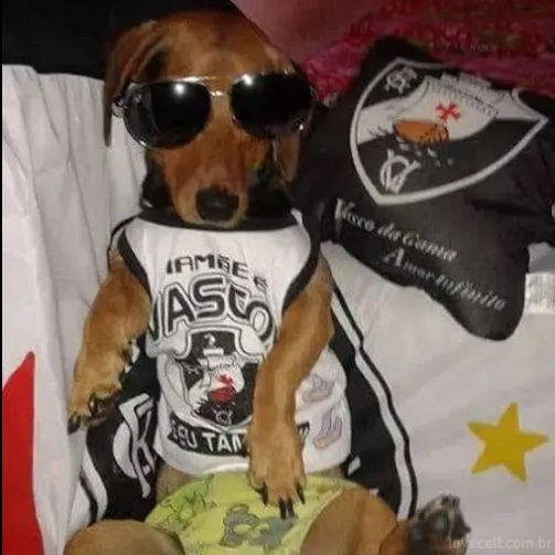 fifizinho