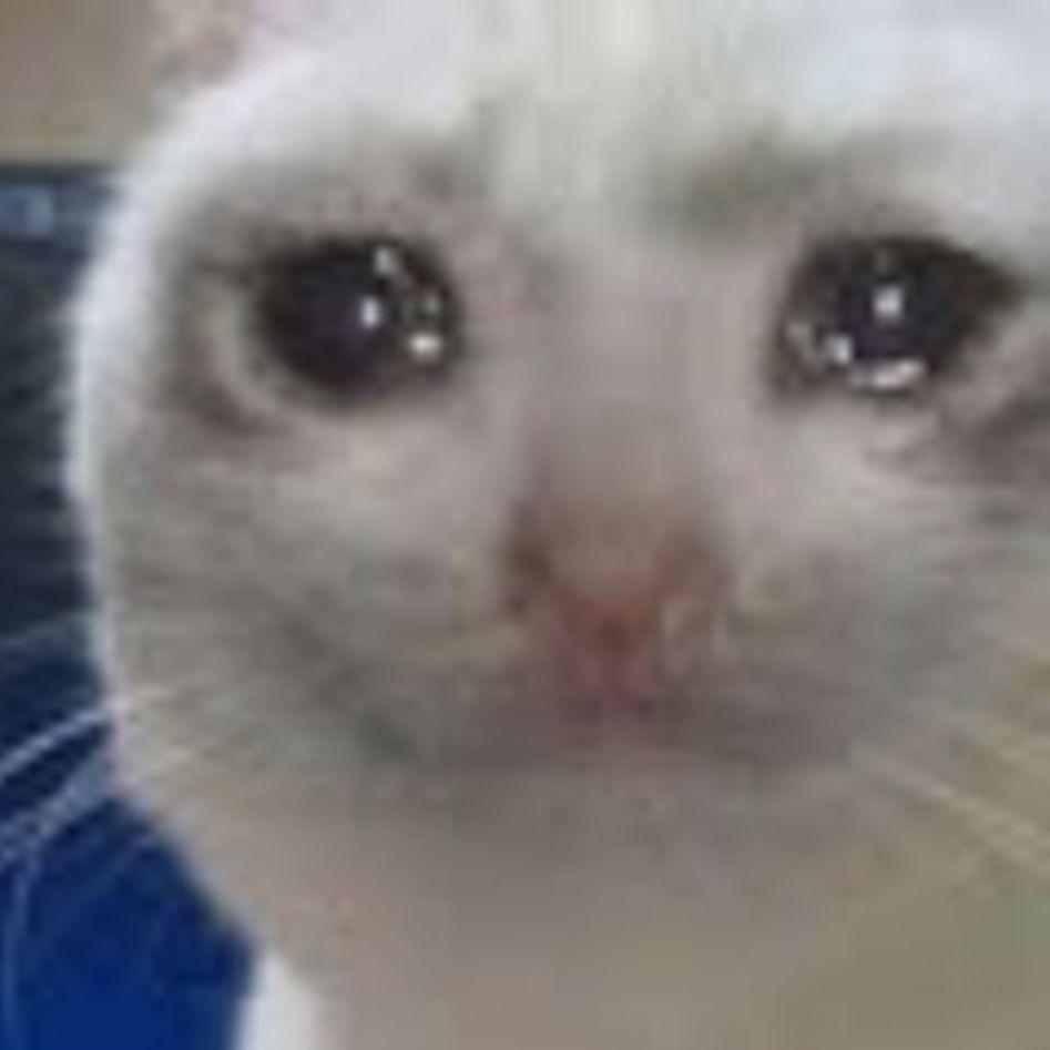 nuugie avatar