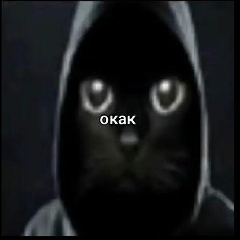 ReallyMahboi avatar