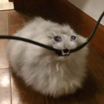 ZubaZz avatar