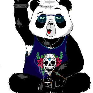 4Panda4 avatar