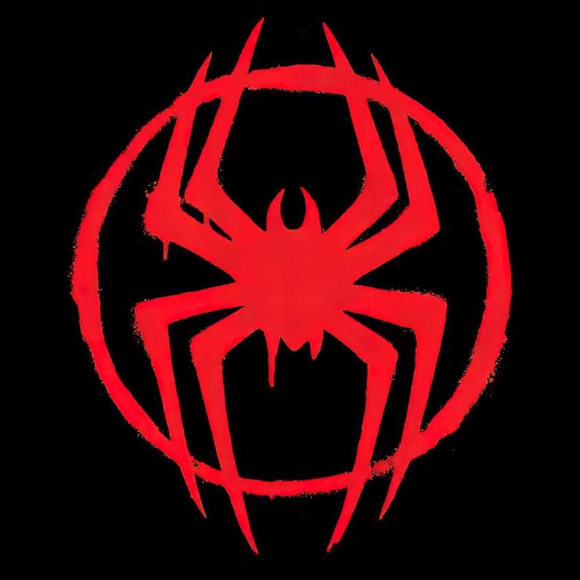 NSpider