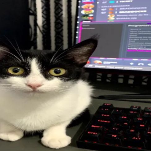-max1312