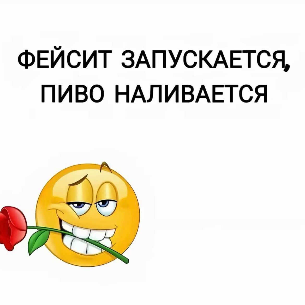 seniqxz