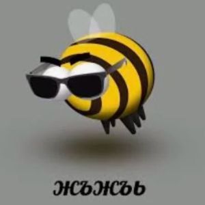team_VasyaGurjii