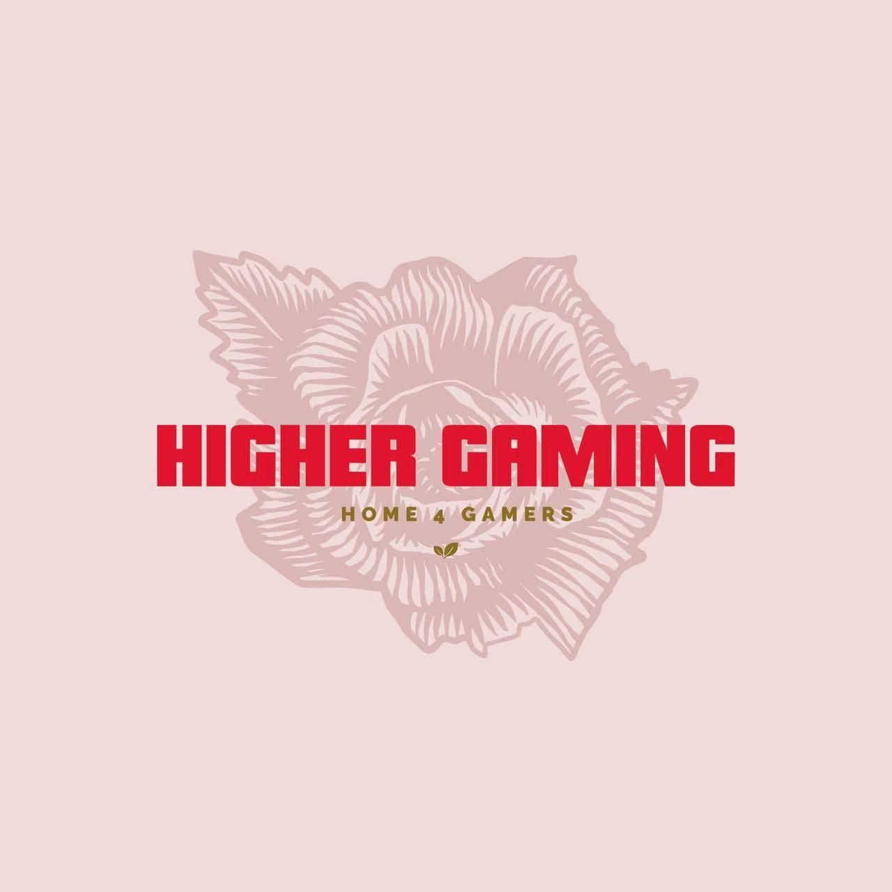 HIGHER GAMING
