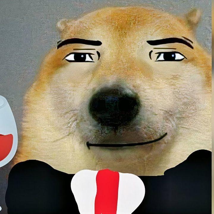 mOTTr avatar