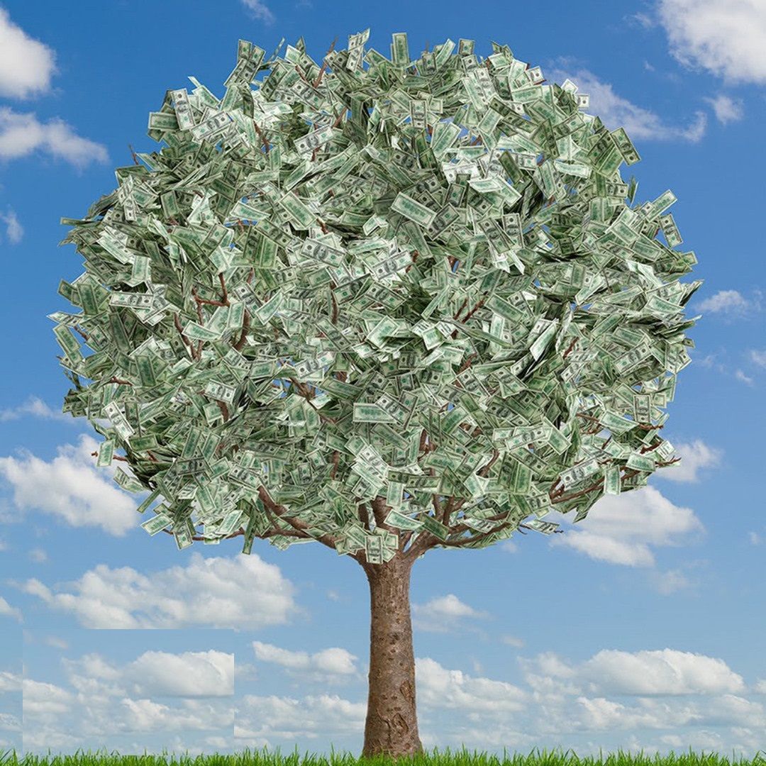 moneYTrees-
