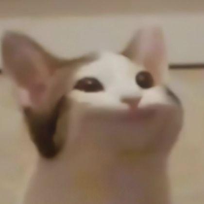 zxcbaxxa