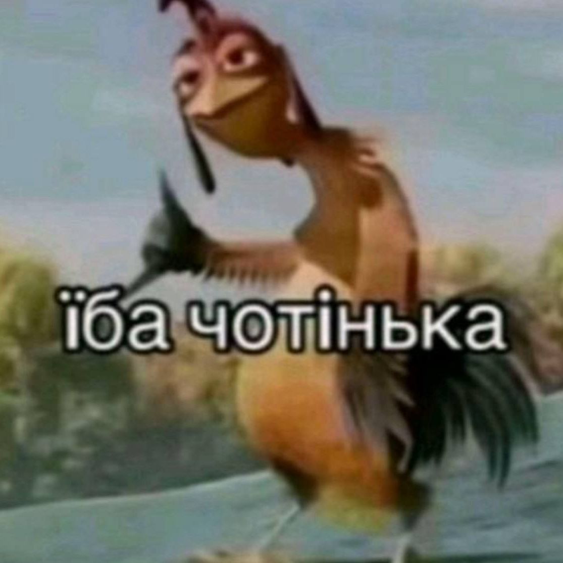 team_MikroBratik