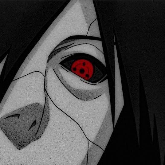 igordegtyare avatar