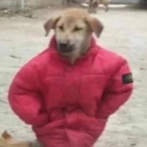 zasunul avatar