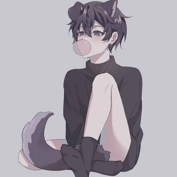 uwuCatb0y