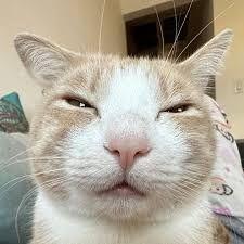 Anesssss6969 avatar