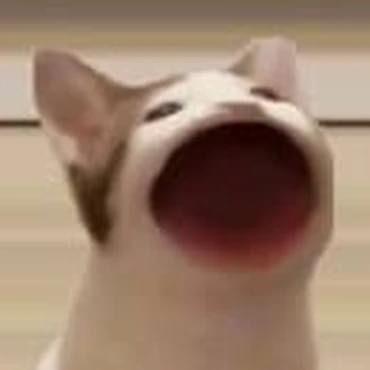Dakotaaa1