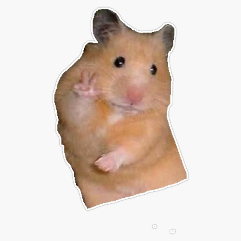 iiTzKato